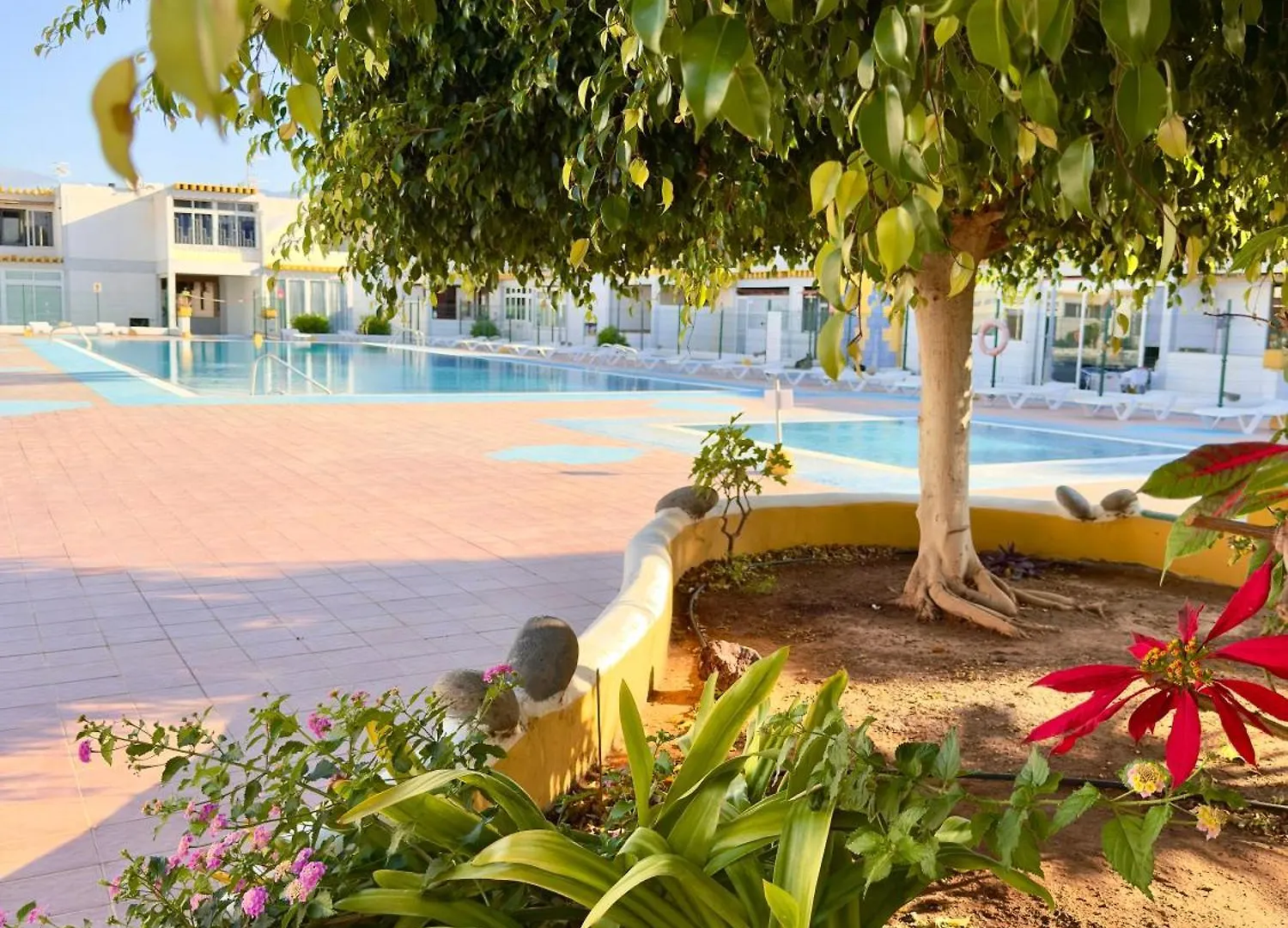 Bebo House 363 Διαμέρισμα Costa Del Silencio