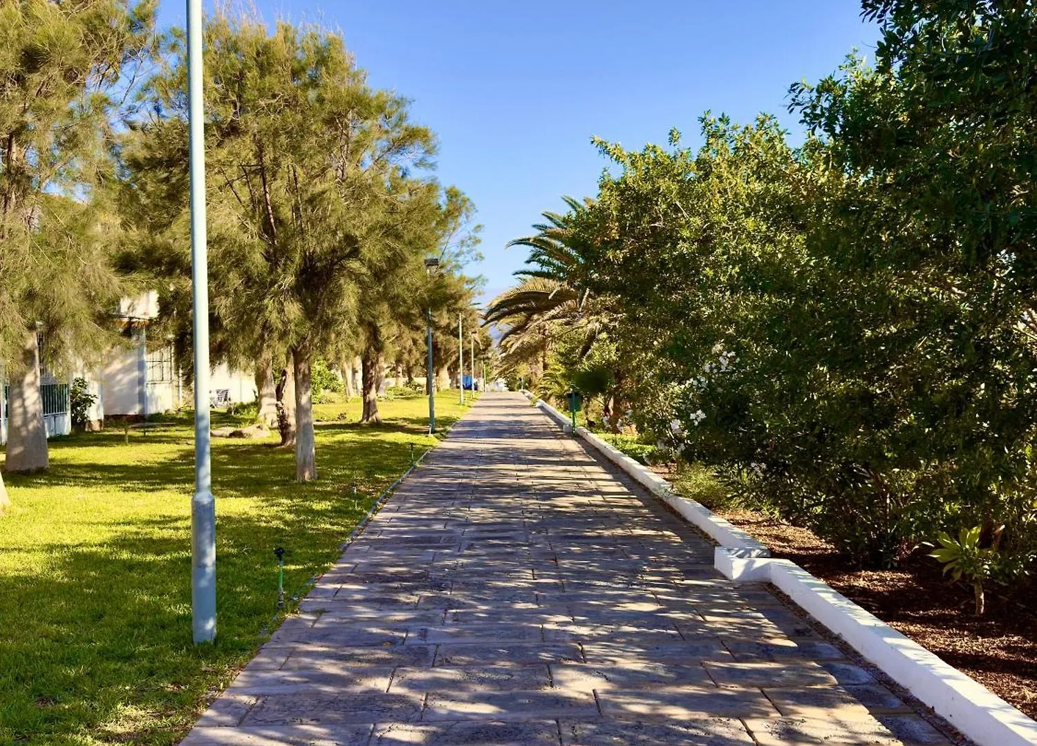 Bebo House 363 Διαμέρισμα Costa Del Silencio
